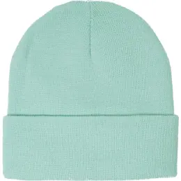 FWRD Aspen Beanie Mint Green
